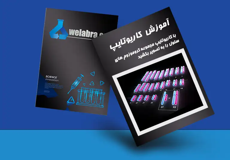 کاریوتایپ کاریوگرام ویلابرا |welabra.com