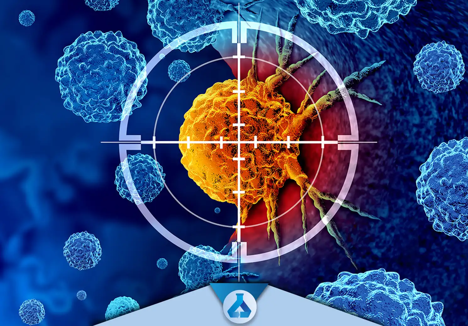 بر اساس این مطالعه که به‌تازگی در مجله Frontiers of Pharmacology منتشر شده، ترکیبات زیست فعالی به نام گلیکوآلکالوئید‌ها که در سبزیجاتی مانند گوجه فرنگی، بادمجان و سیب زمینی یافت میشوند، میتوانند به بهبود سلامت کمک کنند.