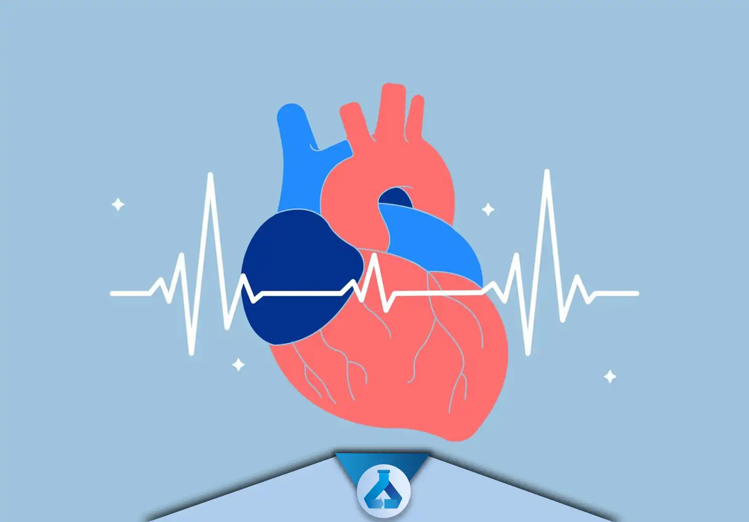 HR مخفف "Heart Rate" به معنای "ضربان قلب" است. ضربان قلب به تعداد دفعاتی که قلب در یک دقیقه می‌تپد. این معیار یکی از مهم‌ترین نشانه‌های سلامت قلب و عروق است.